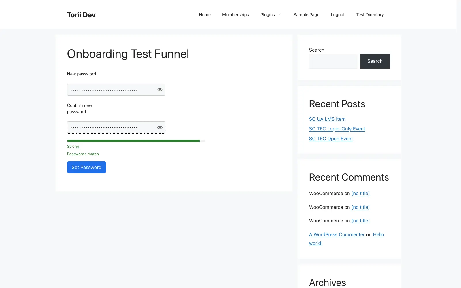 The funnel page password form with the strength meter reading Strong, a passwords-match indicator, and an enabled Set Password button